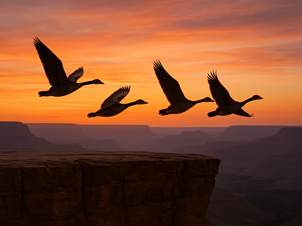 Death Is A Tower&nbsp;(Cento)