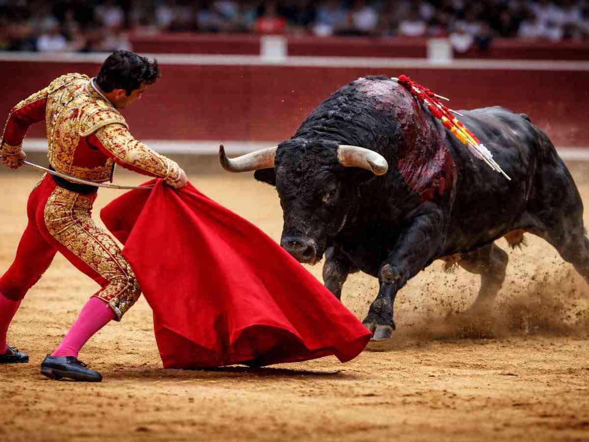 The Last Bullfight